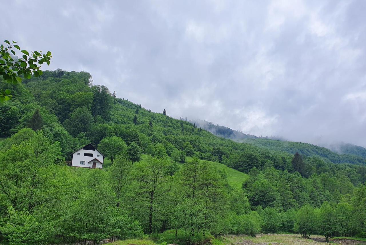 Zăvoarele Villa Alexandru cel Bun Exterior foto