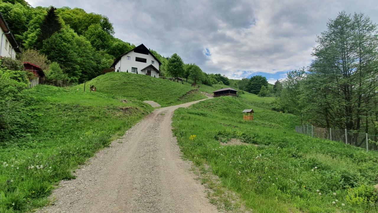 Zăvoarele Villa Alexandru cel Bun Exterior foto