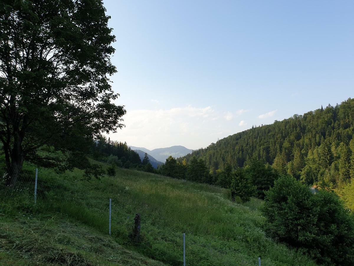 Zăvoarele Villa Alexandru cel Bun Exterior foto