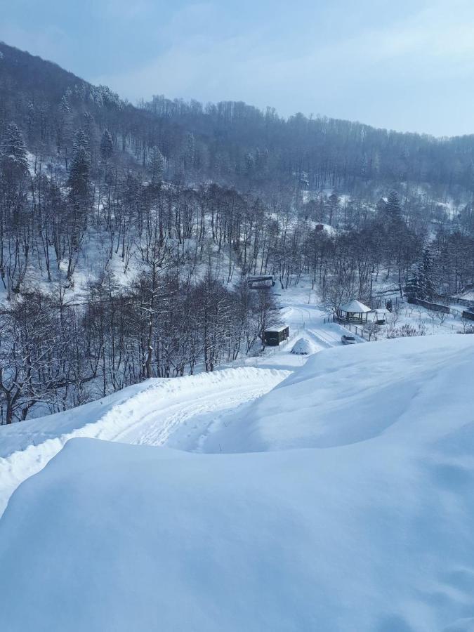 Zăvoarele Villa Alexandru cel Bun Exterior foto